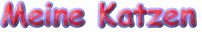 Link zu den Katzen